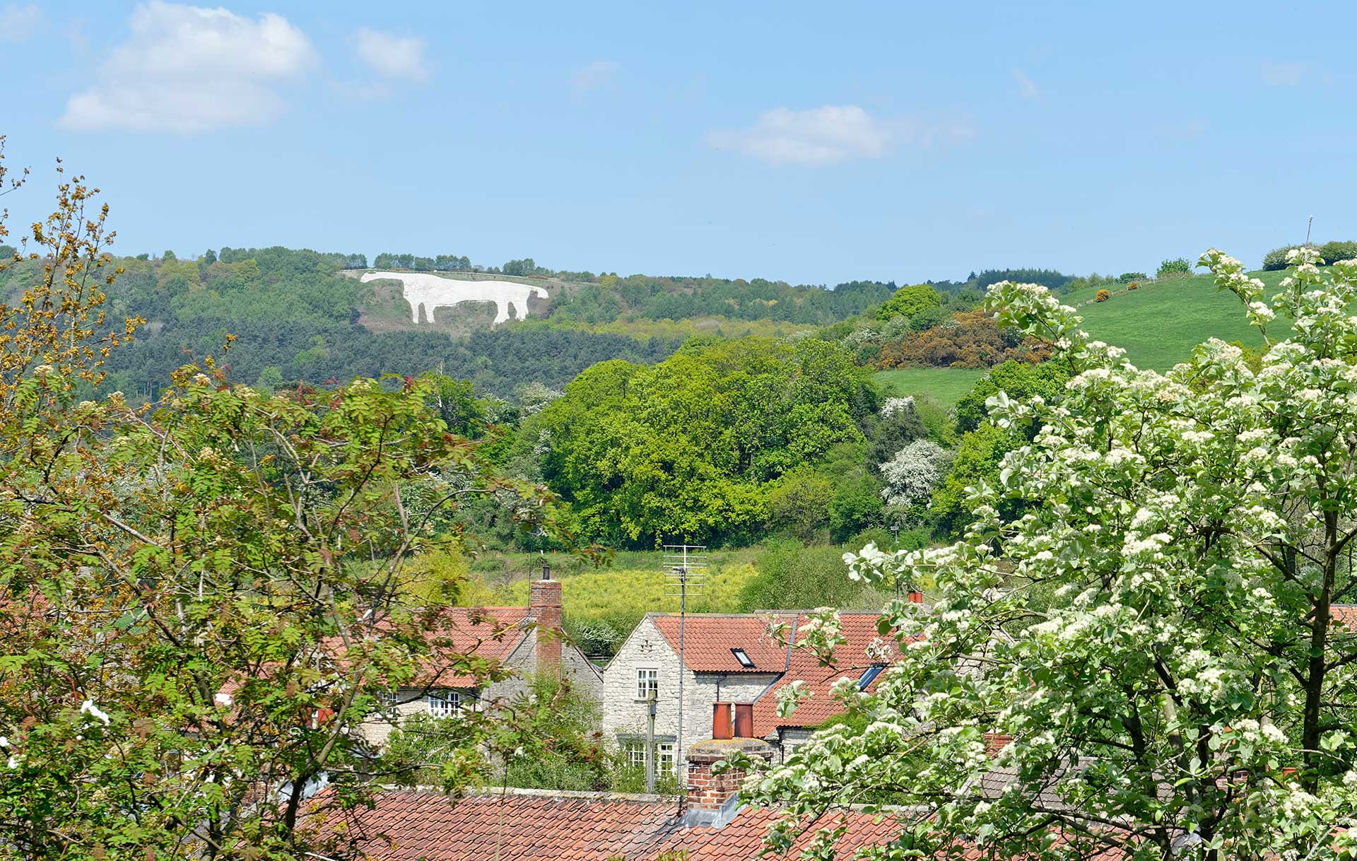 houses for sale North Yorkshire